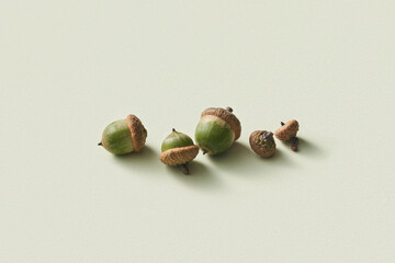 Natural green acorns and caps scattered on beige background