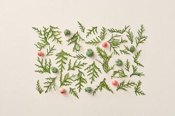 Rectangular arrangement of paradise apples, green cones and fir leaves