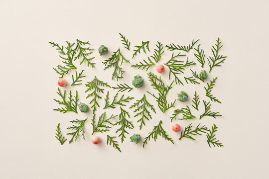 Rectangular arrangement of paradise apples, green cones and fir leaves