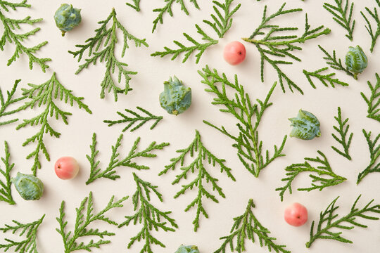Fir leaves, green cones and paradise apples creating natural pattern