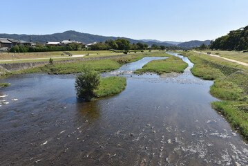 Obraz premium 鴨川 京都市