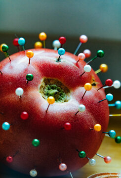 Tomato studded with needles.