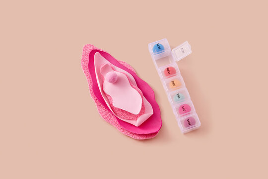 Pills organizer lying near female vagina made of decorative materials