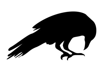 crow silhouette