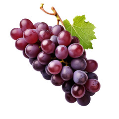 Zinfandel grape isolated on transparent background