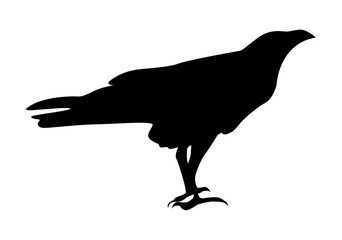 crow silhouette