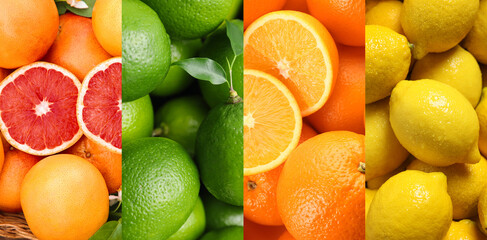 Citrus fruits. Fresh grapefruits, limes, oranges and lemons, top view - obrazy, fototapety, plakaty
