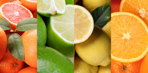 Citrus fruits. Fresh grapefruits, limes, lemons and oranges, collage