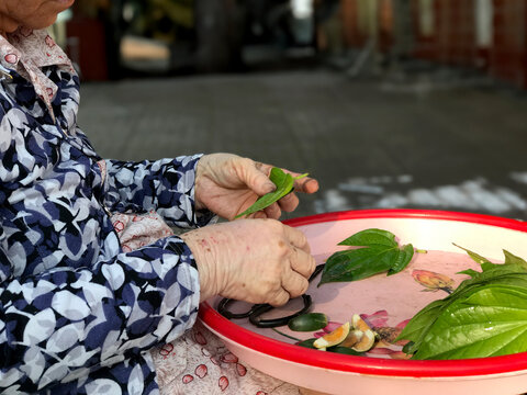 Woman making betel leaves on the street in Vietnam