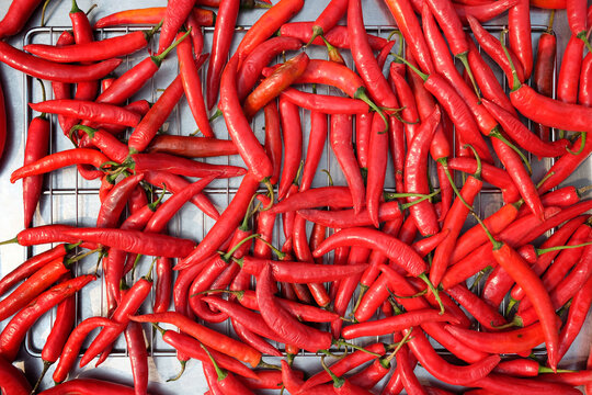 Red Chilli Peppers