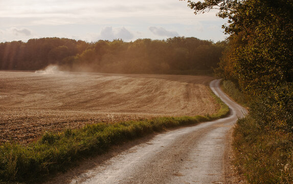 A winding country lane in the golden hour. 