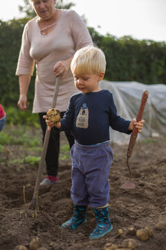 major woman with grandson drip potatoes  