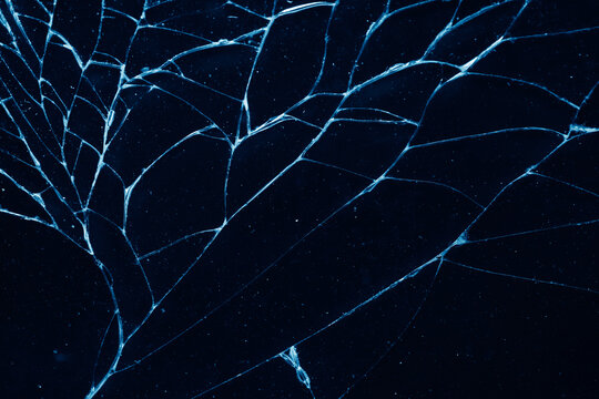 Abstract dark winter texture background