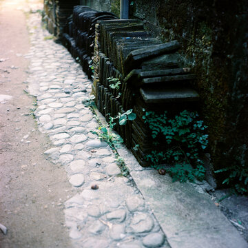 Green bricks with moss growing on the ground
