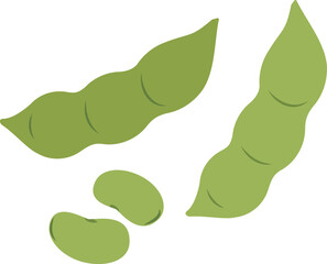 そら豆のイラスト