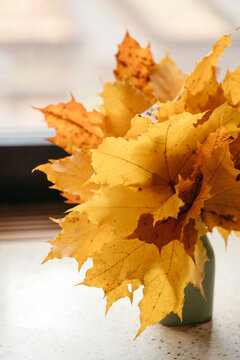 Fall seson home.