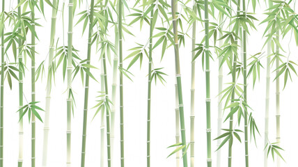 Fototapeta na wymiar A row of bamboo trees with a white background