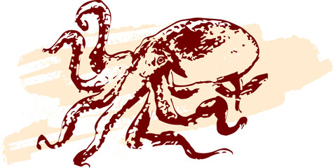 タコの墨絵 © foolchico