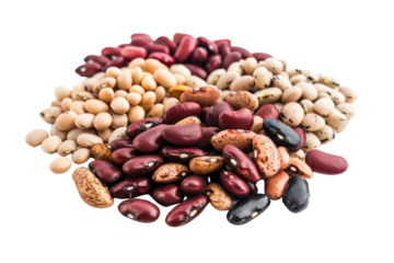 Many types of bean seeds