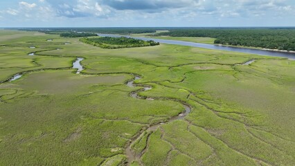 Natural salt water marsh and wetlands on coast of South Carolina beside intracoastal waterway...