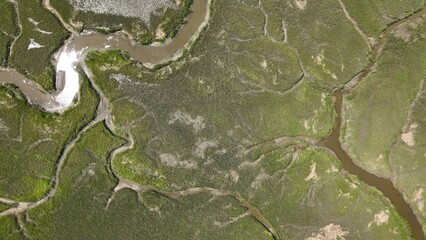 Naklejka premium Natural salt water marsh and wetlands on coast of South Carolina beside intracoastal waterway between Georgetown and Charleston, SC