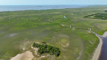 Natural salt water marsh and wetlands on coast of South Carolina beside intracoastal waterway between Georgetown and Charleston, SC