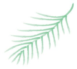 Green palm leave illustration. Green branches of tree.