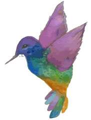 Colibrí pintura