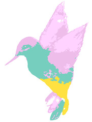 Colibrí pintura