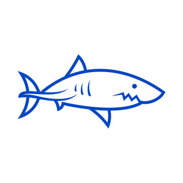 Shark Vector Logo Design Template