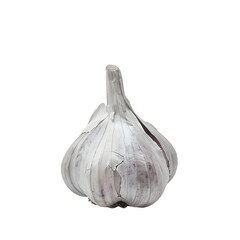 Garlic Cloves with Transparent Background Clipart