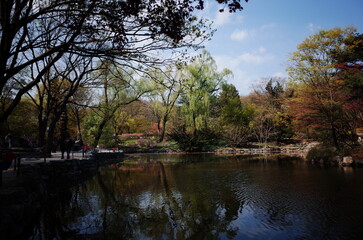 Changgyeonggung Palace in Spring, Spring in Seoul, traditional places in Seoul