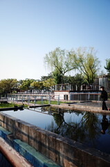 Korean style park, Seoul garden, Seoul spring Han River