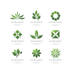 Eco logo vector green leaf template design