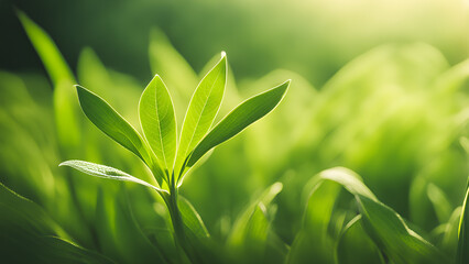 Fototapeta premium sprout-emerging-with-slender-leaves-surrounded-by-contrasting-lush-grass