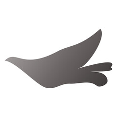 illustration of a bird