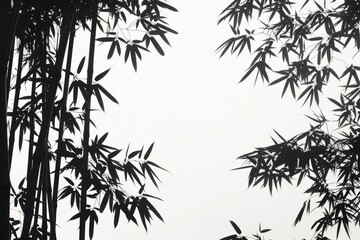 Obraz premium Lush bamboo leaves are transformed into delicate tracery against a clean white canvas