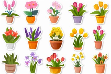 Set of potted flowers