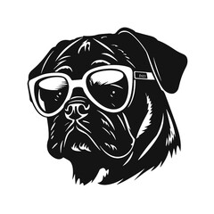 Pug dog. Head of an pug. Pets for design. Vector graphics to design.