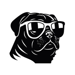 Pug dog. Head of an pug. Pets for design. Vector graphics to design.