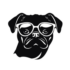 Pug dog. Head of an pug. Pets for design. Vector graphics to design.