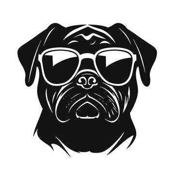Pug dog. Head of an pug. Pets for design. Vector graphics to design.