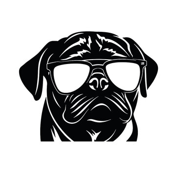 Pug dog face isolated on a white background, Vector, Illustration.