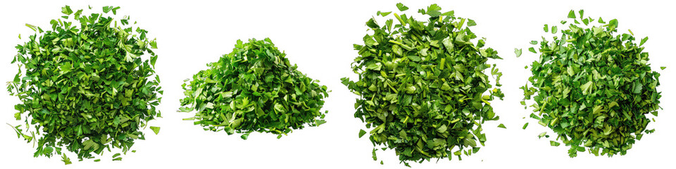 Chopped dry parsley leaves pile  Hyperrealistic Highly Detailed Isolated On Transparent Background Png File - obrazy, fototapety, plakaty