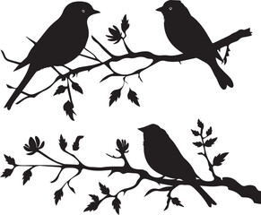 Set of Birds on a Tree branch black silhouette isolated white background