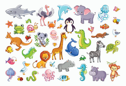 Animal collection set vector cartoon illustration