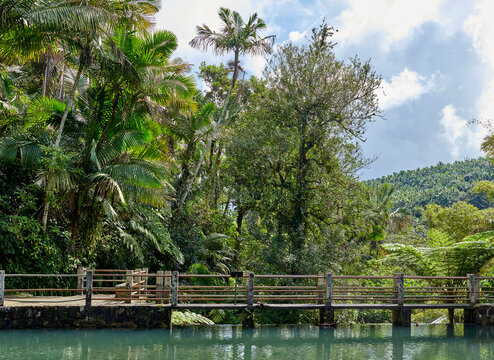 Panoramic image of former swimming pool in the rainforest of Puerto Rico and built in the 1930s