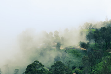 Mystic adventures. Hill country of island nation Sri Lanka