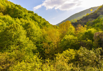 scenic view of Yesil Vadi (Green Valley) near Termal (Yalova, Turkiye) 