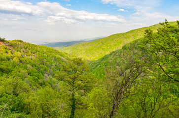 Fototapeta premium scenic view of Yesil Vadi (Green Valley) near Termal (Yalova, Turkiye) 